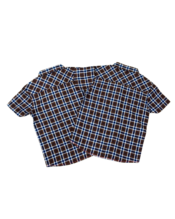 Boy's Light Brown with Blue Checks Shirt