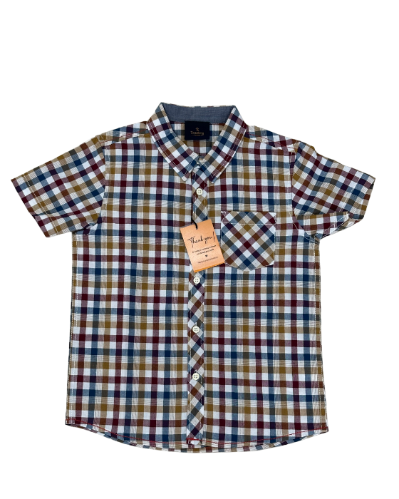 Boy's Multicolor Checks Shirt