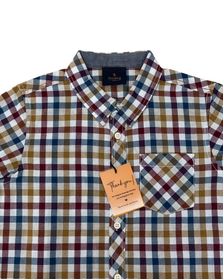 Boy's Multicolor Checks Shirt