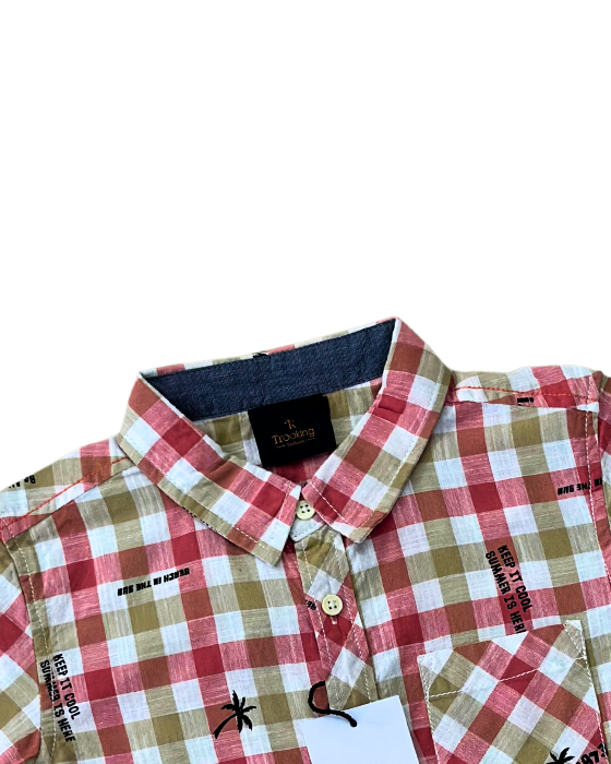 Boy's Pink with Brown Checks Shirt